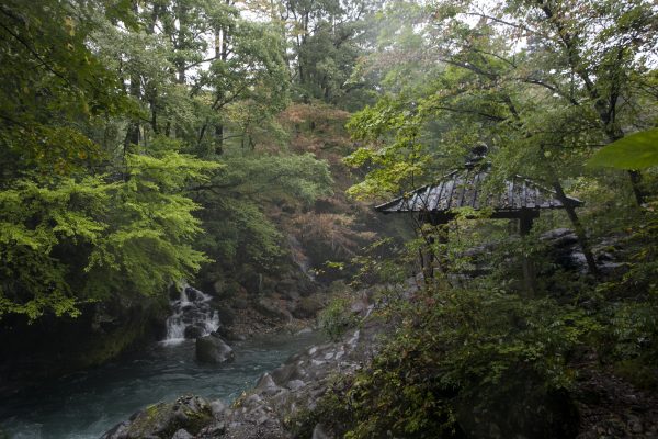 On the shores of the Kanman-ga-fuchi gorge in Nikko. (Annie Wu/Epoch Times)
