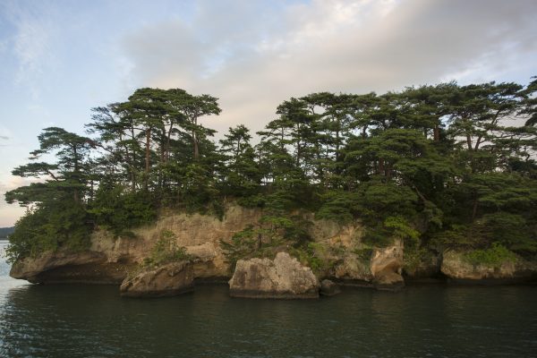 Pine trees on Fukuura Island in Matsushima Bay. (Annie Wu/Epoch Times)